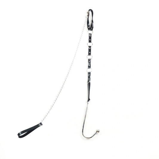 EverydayUse Collar 5853 Leash Hook and Kinky with Anal 0808